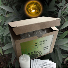 World Magic Sacred White Sage Votives (Box of 24)